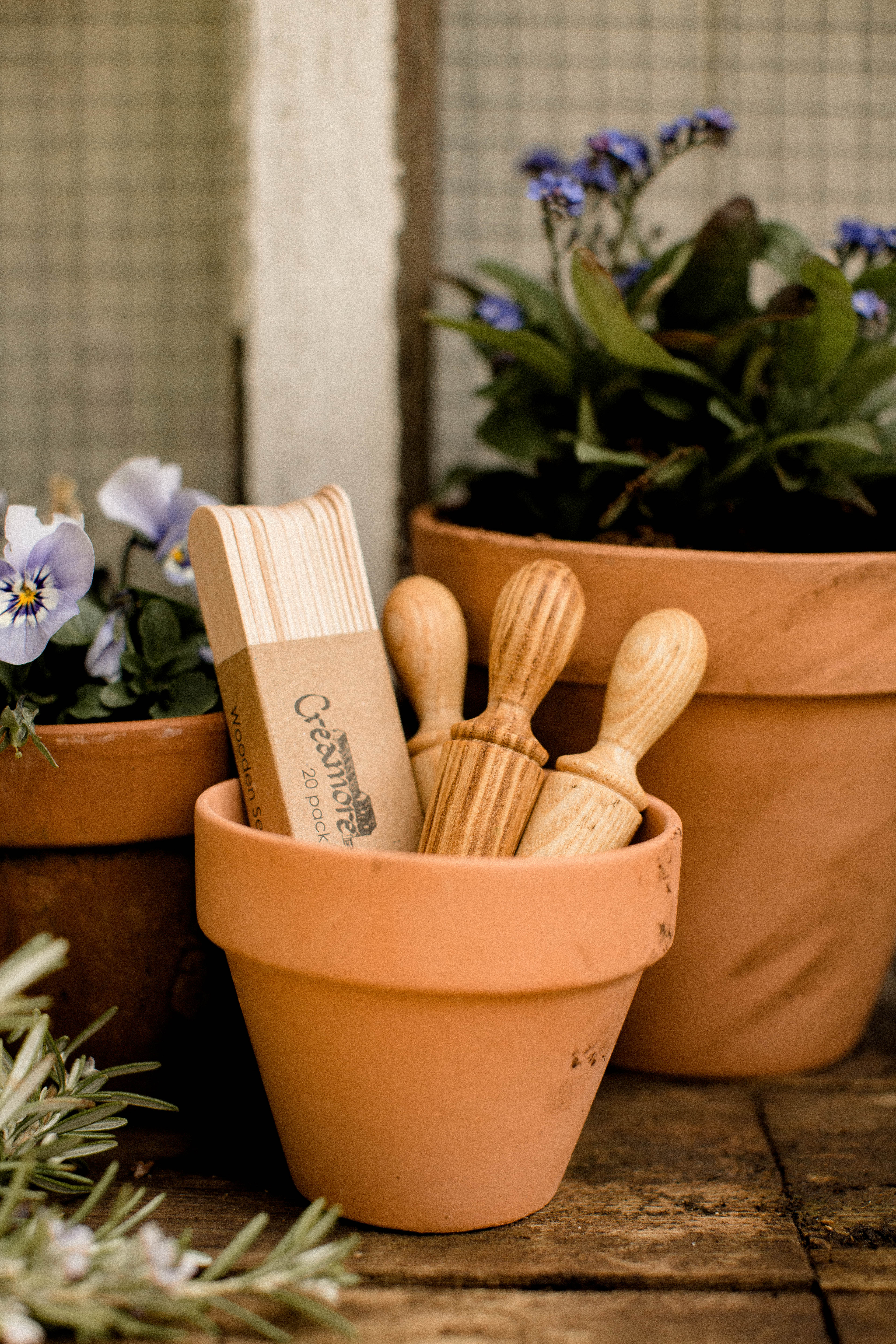 Wooden Seed Labels