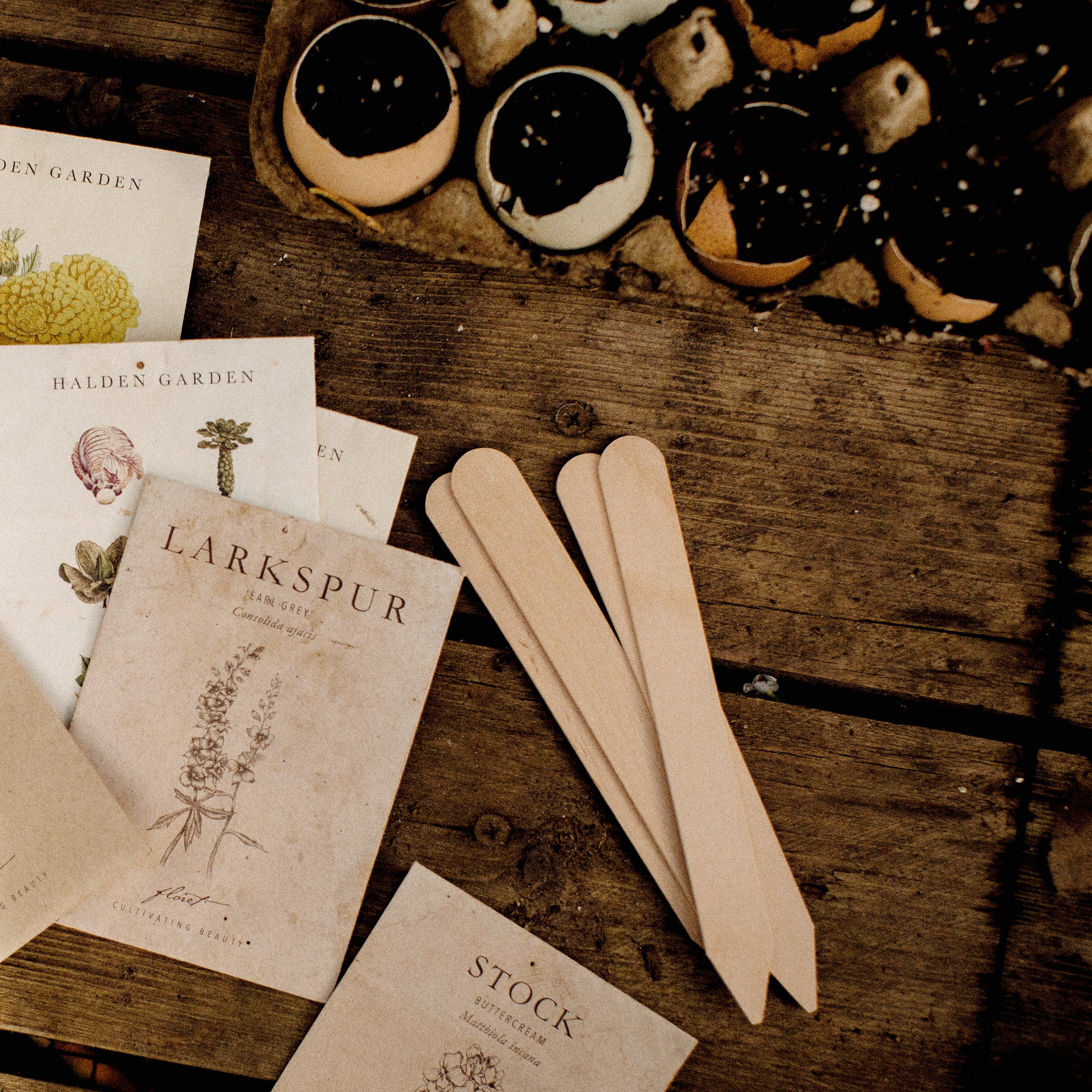 Wooden Seed Labels