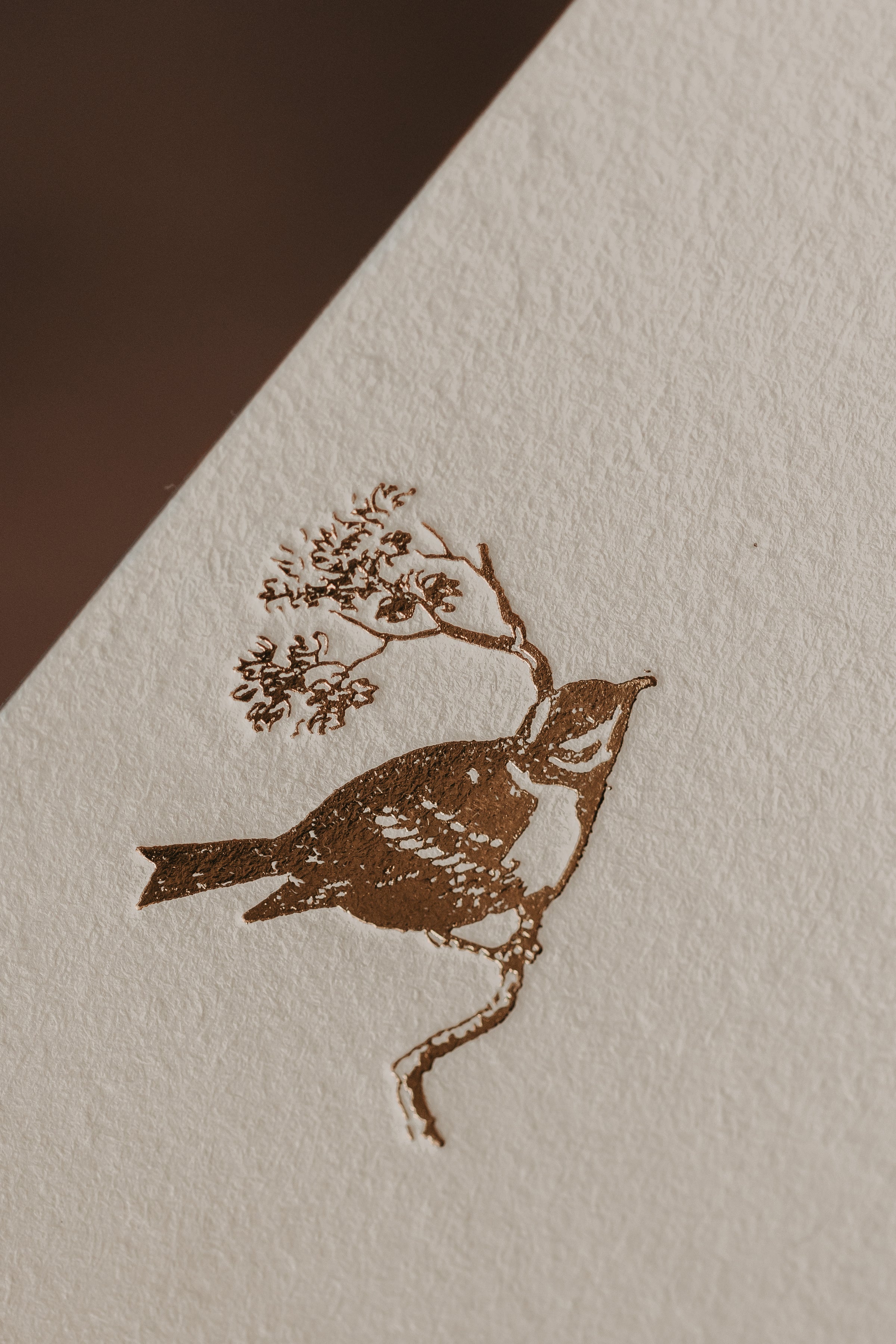 Birds & Berries Stationery Set