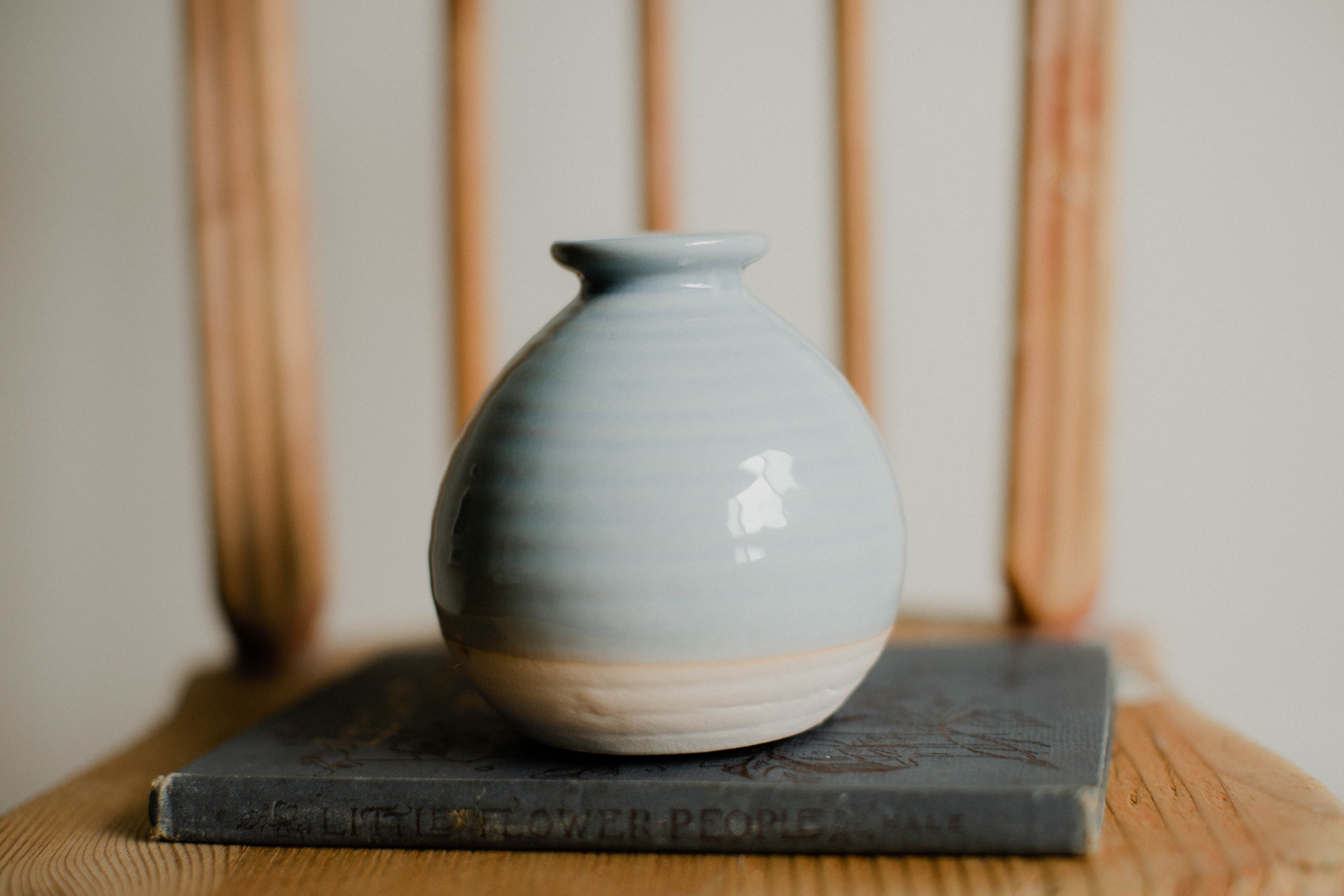 Bud Vase in Sky