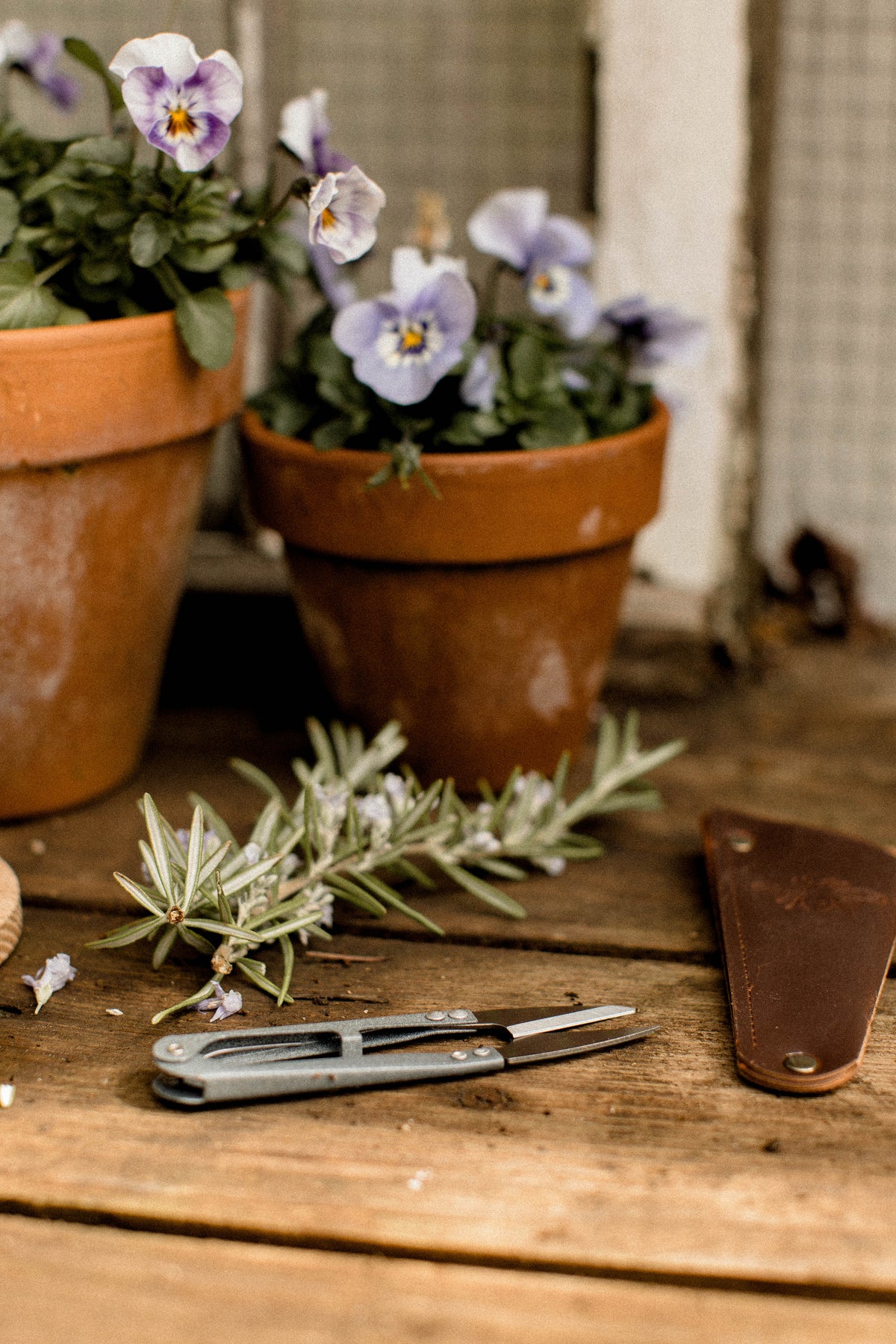 Garden Snips in Leather Pouch
