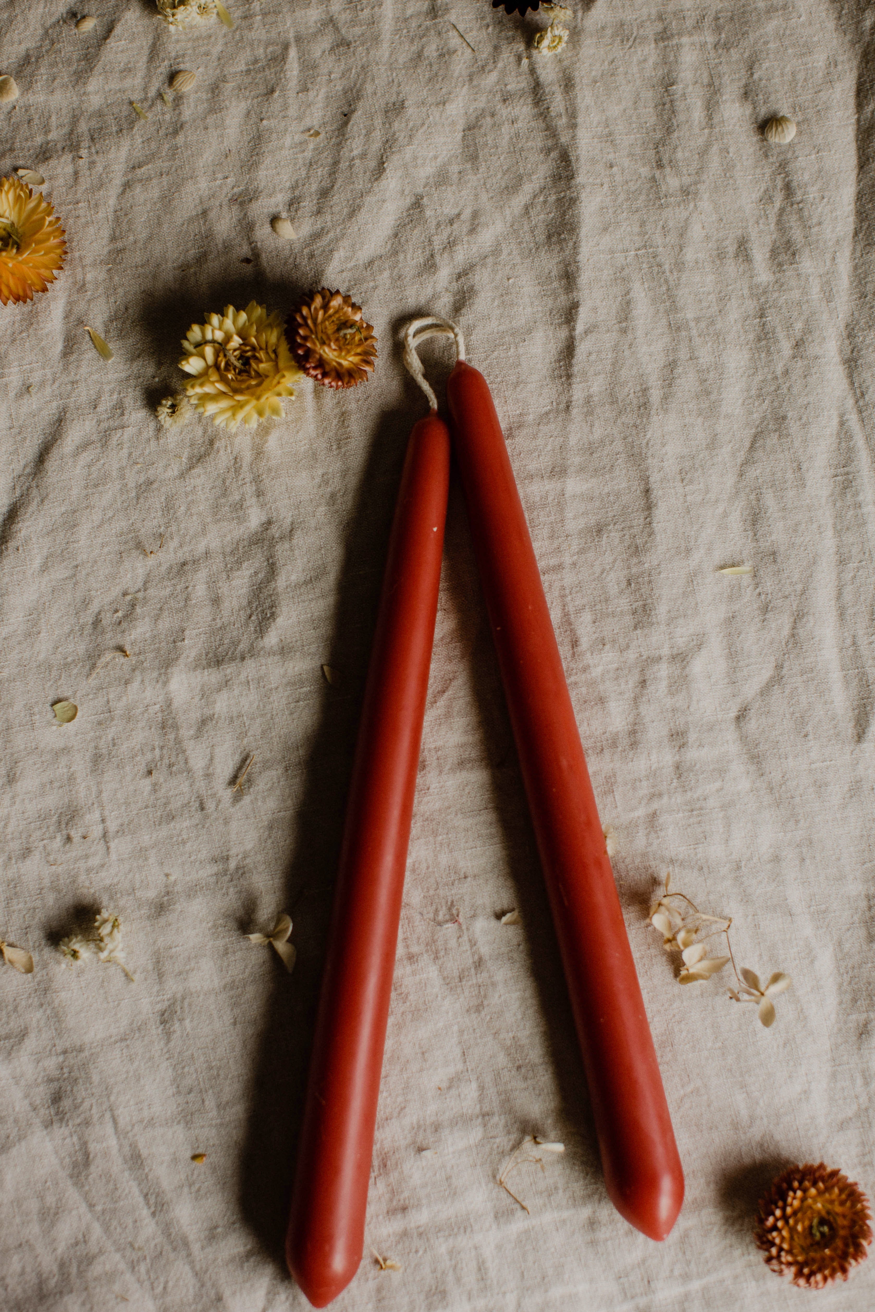 Beeswax Candle Set in Berry