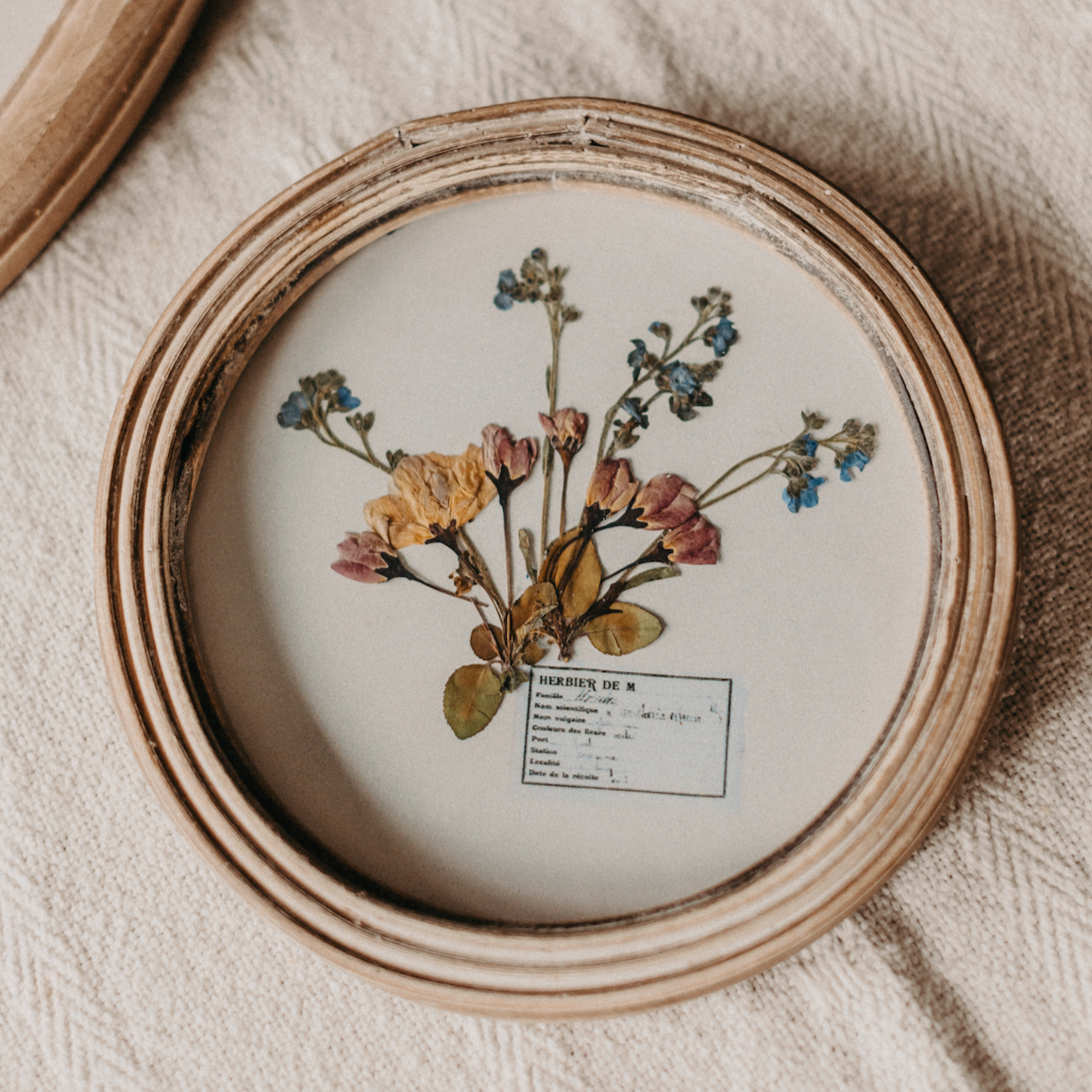 Pressed Flowers in Round Frame