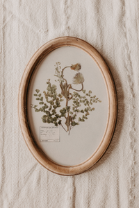 Pressed Flowers in Oval Frame