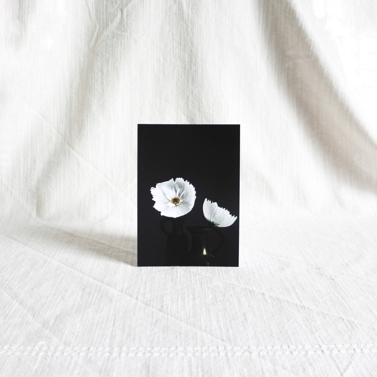 5x7 Fine Art Photography Print | "Still Life With Cupcake Cosmos No. 11"