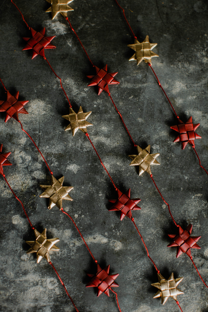 Palm Star Garland