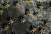 Palm Star Garland