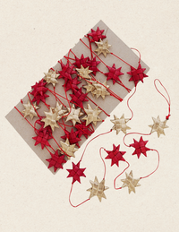 Palm Star Garland