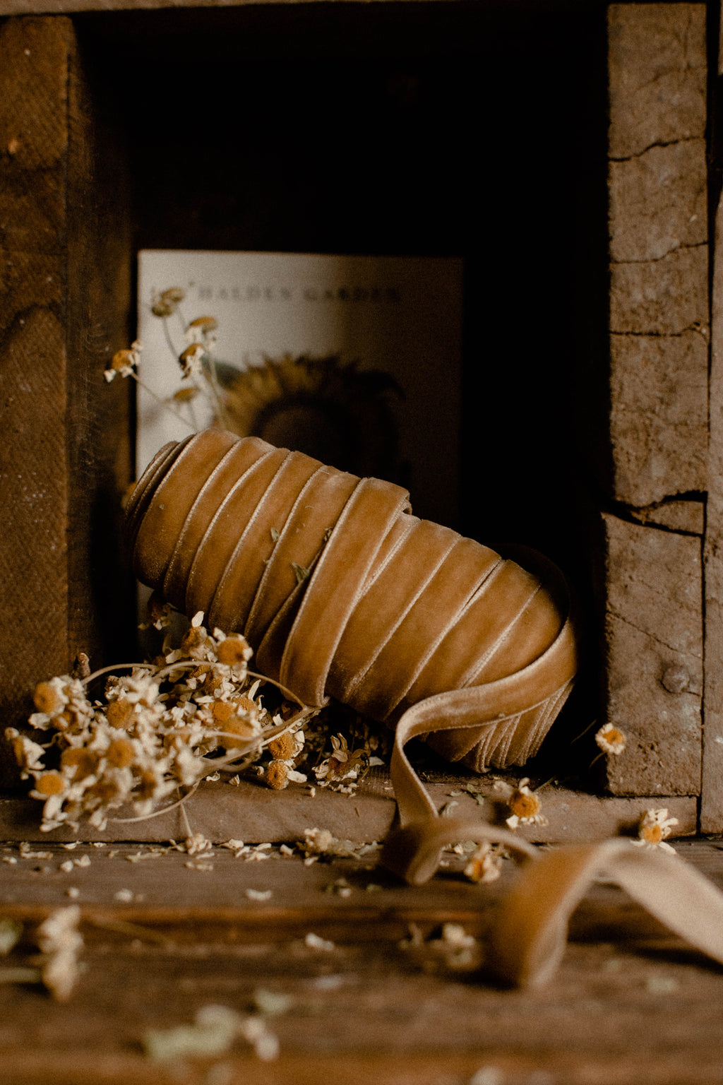 Velvet Ribbon in Gold