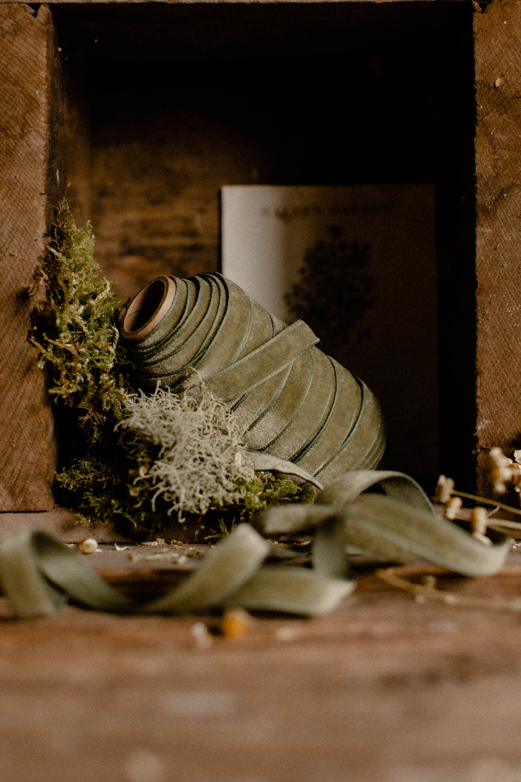 Velvet Ribbon in Jasper